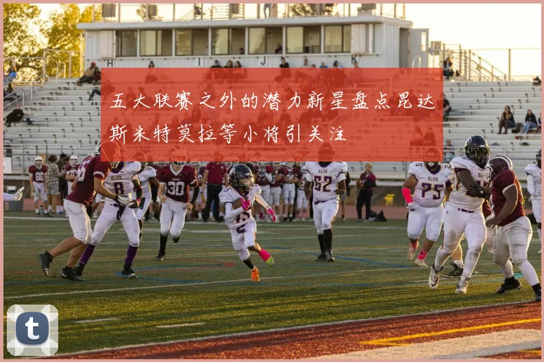 五大联赛之外的潜力新星盘点昆达斯米特莫拉等小将引关注