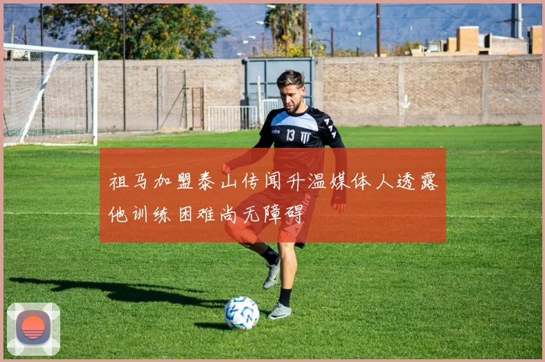 祖马加盟泰山传闻升温媒体人透露他训练困难尚无障碍