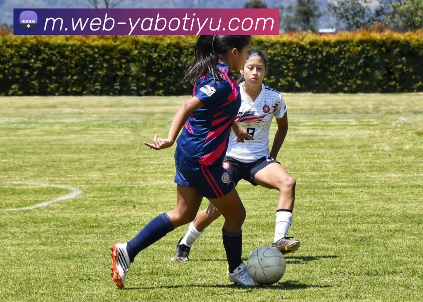 亚博体育APP 高清赛事图