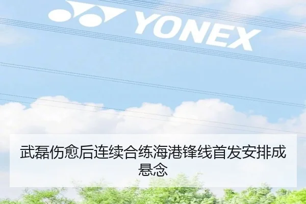 武磊伤愈后连续合练海港锋线首发安排成悬念 | YaboSports